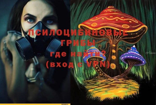 PSILOCYBIN Бронницы